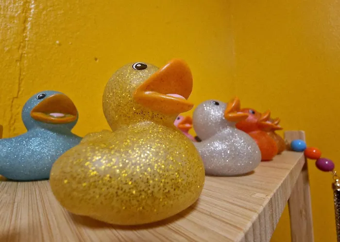 Color Whiskey Appartement